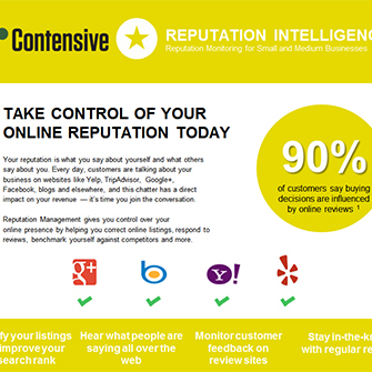 Reputation Intelligence (DIY) - Monthly subscription
